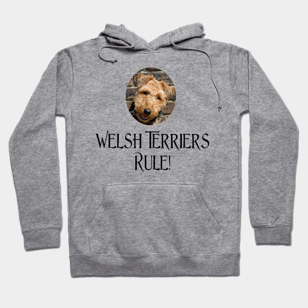 Welsh Terriers Rule! Hoodie by Naves